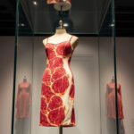 Lady Gaga Meat Dress: Meaning, Real Meat, and Where It Is Now -  PressCanvas.org